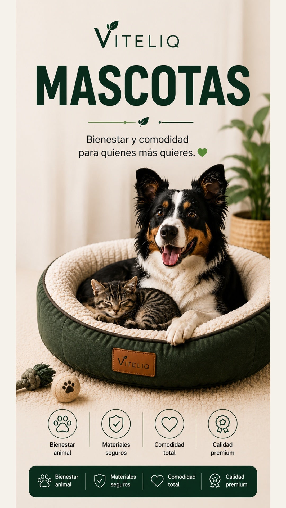 Mascotas